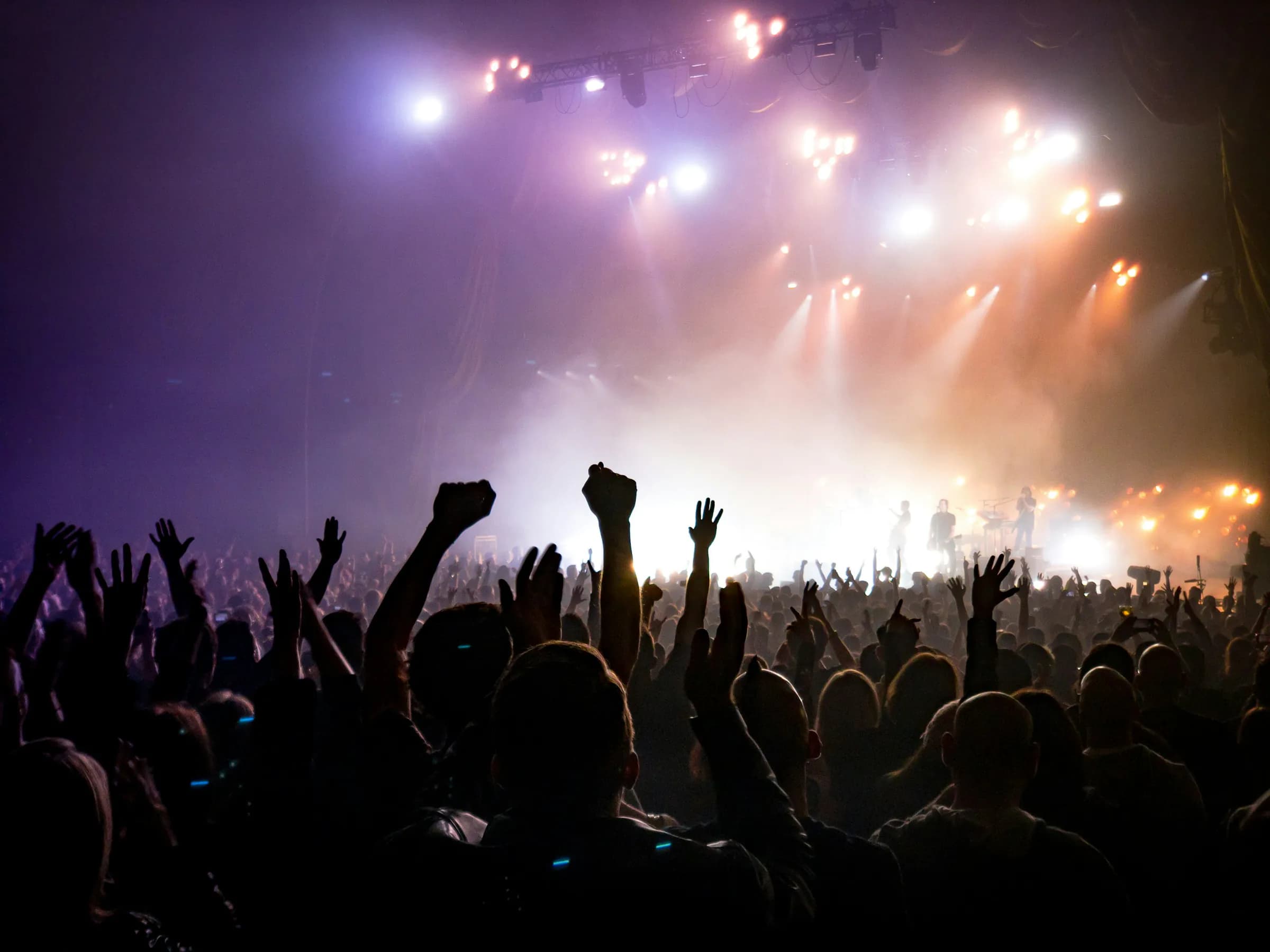 A concert crowd in silhouette under pink and white stage lights.